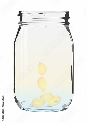 Ginger Infused Water