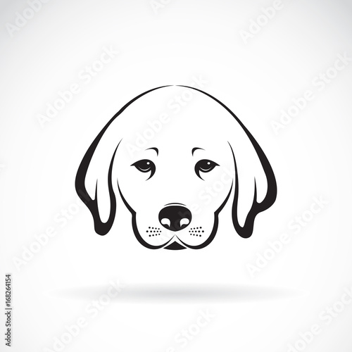Vector of Labrador dog head on white background, Pet Animal.