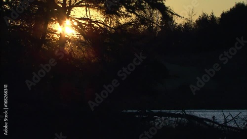 Sun shines through trees at pond at sunset.