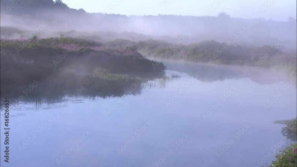 Mist rolls in on an early morning swamp. Mist rolls in on an early morning swamp.