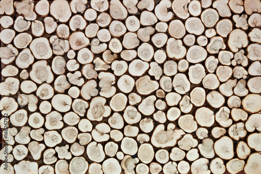 Background of wooden slices Background of wooden slices