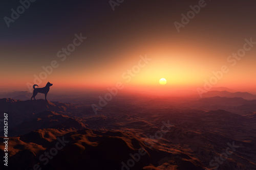 日の出を見る犬のシルエット   © bigfoot