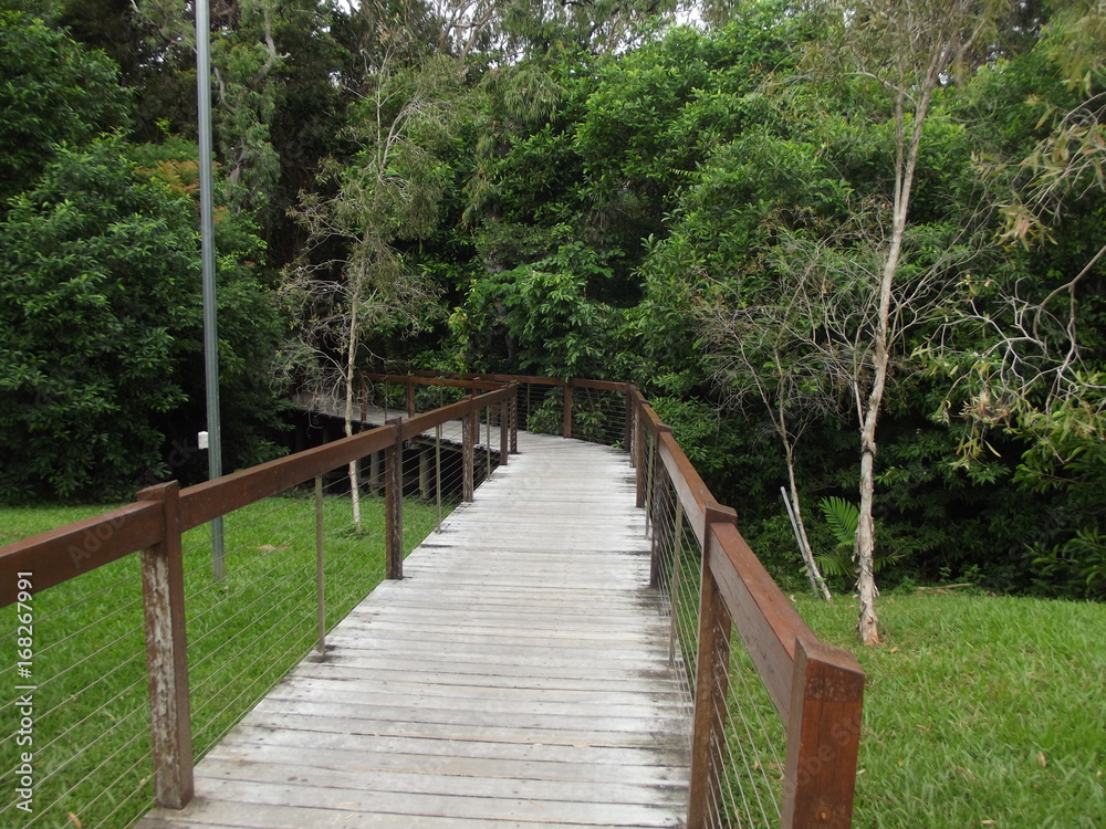 Pathway into wetlands (Cairns Australia)