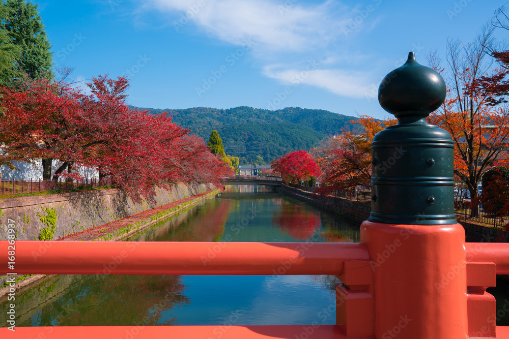 京都　岡崎疏水の紅葉