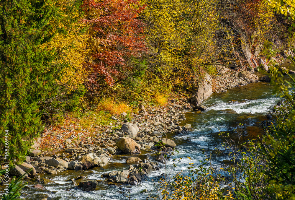 powerful forest brook with rocky shore powerful forest brook with rocky shore