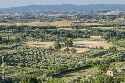 Panoramic aerial view of the beautiful Tuscan countryside around Chianciano Terme, Siena, Italy, on a sunny day