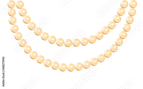 Pearl necklace isolated illustration vector