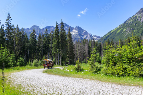 National Park in the Tatra Mountains, Poland photo
