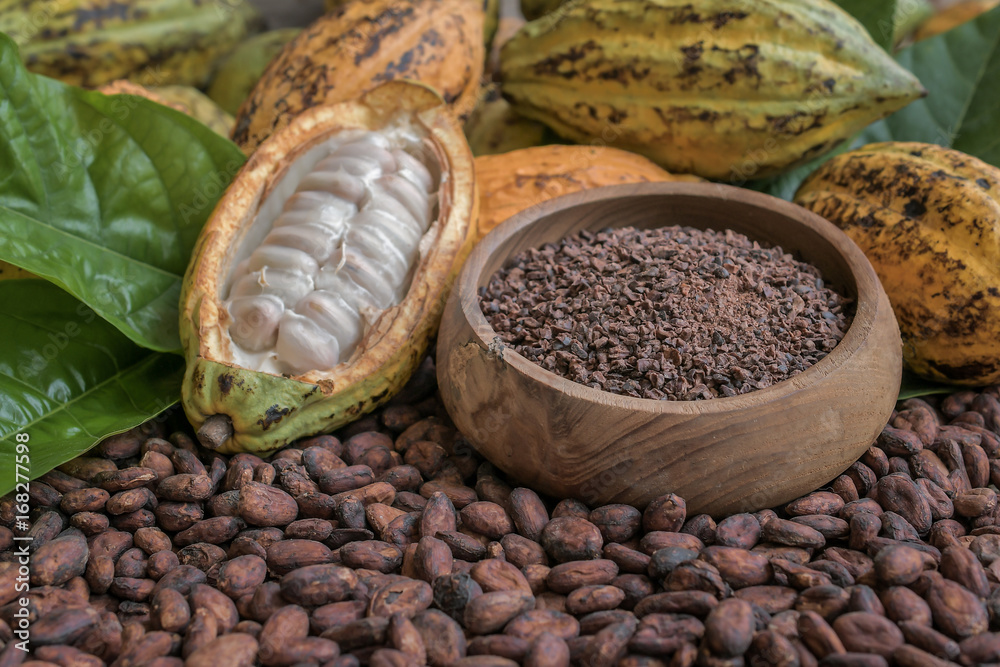Natural Cocoa powder with Cocoa Beans and Cocoa Fruits Photos | Adobe Stock
