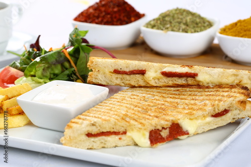 Grilled Panini