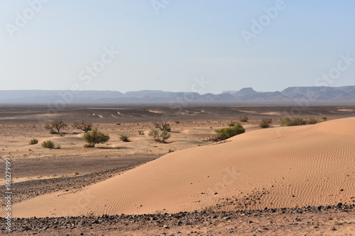 Εκτύπωση καμβά DESERT MAROCAIN