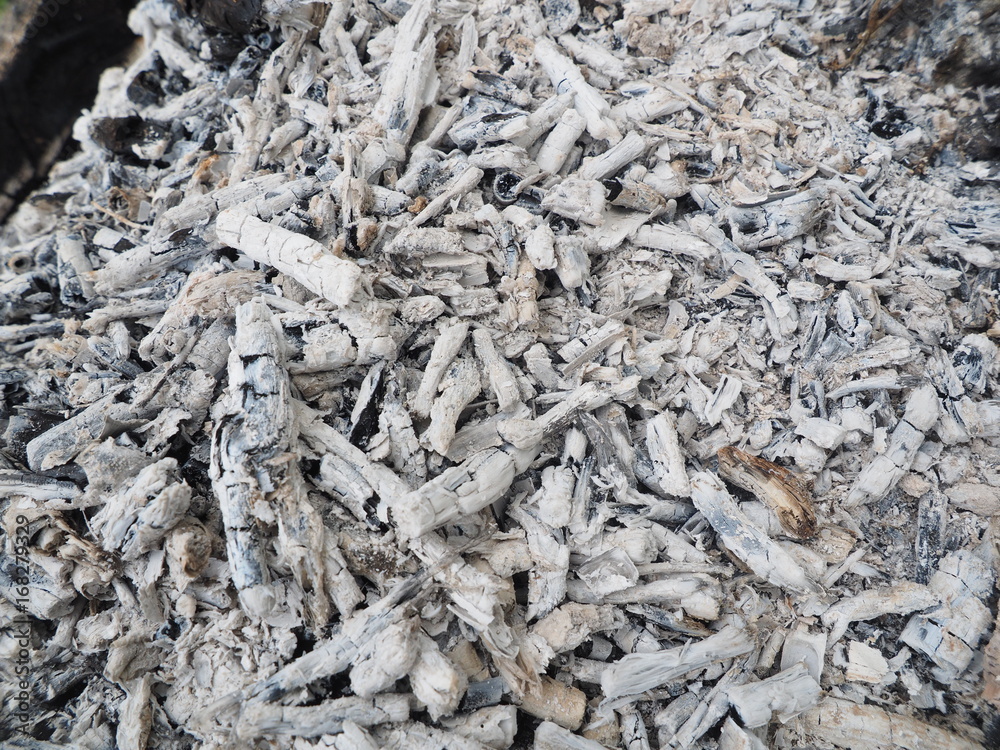 Ash and coals from the fire Ash and coals from the fire