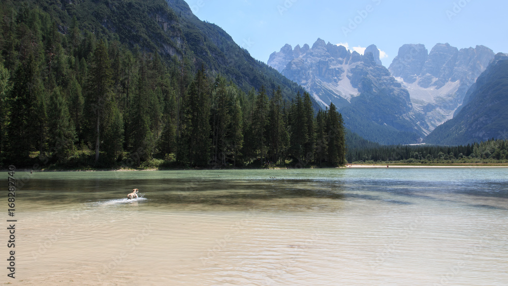 Lago di Landro - Sullo sfondo il monte Cristallo (Dolomiti) Lago di Landro - Sullo sfondo il monte Cristallo (Dolomiti)