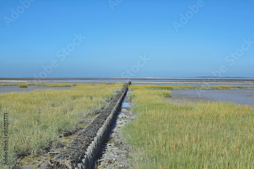 Lahnung zum Uferschutz am Wattenmeer Nordsee Deutschland