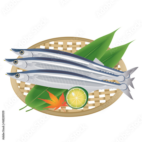 秋の味覚のイメージ ザルに乗ったサンマのイラスト Illustration Of Mackerel Pike Stock Vector Adobe Stock