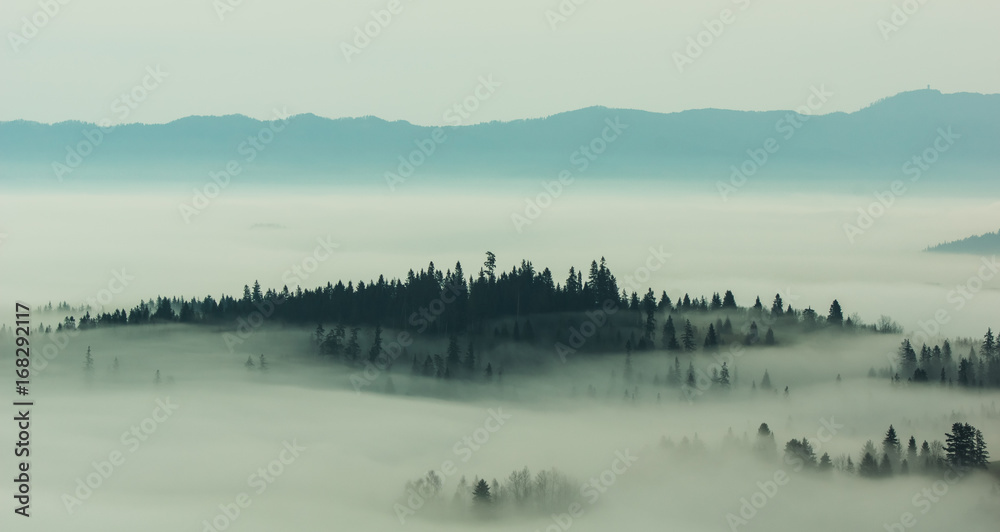 Foggy morning in Tatra mountains, Zakopane, Poland Foggy morning in Tatra mountains, Zakopane, Poland
