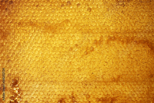 Bee honeycomb