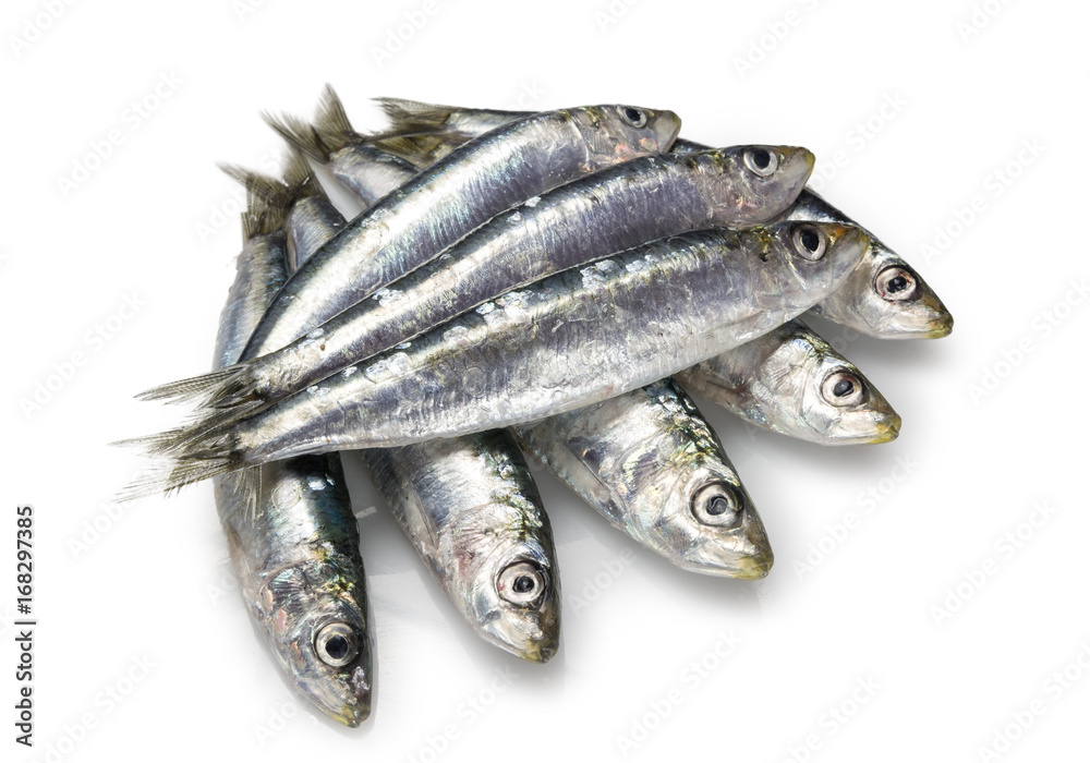 Sardinas,parrocha fresca Sardinas,parrocha fresca