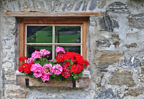 Wall of an old farm house made of field stones with window and red flowers