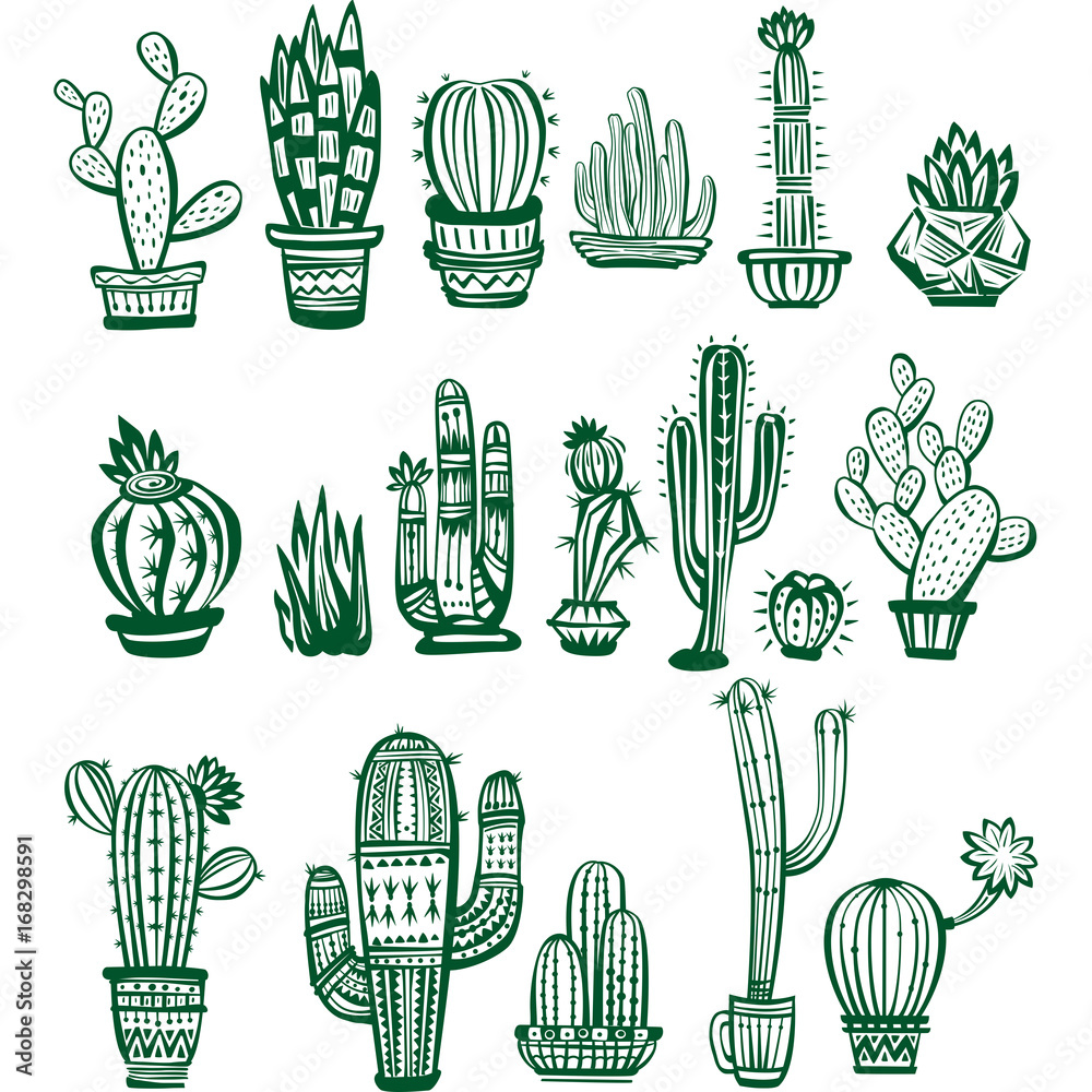 Fototapeta premium Set of vector Cactuses