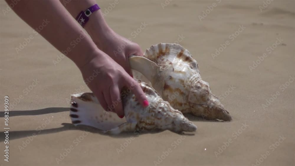 High quality video of woman picking shells by the ocean in real 1080p slow motion 250fps
