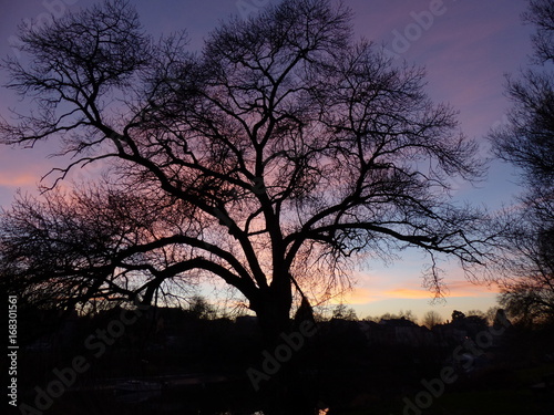 Ciel du soir