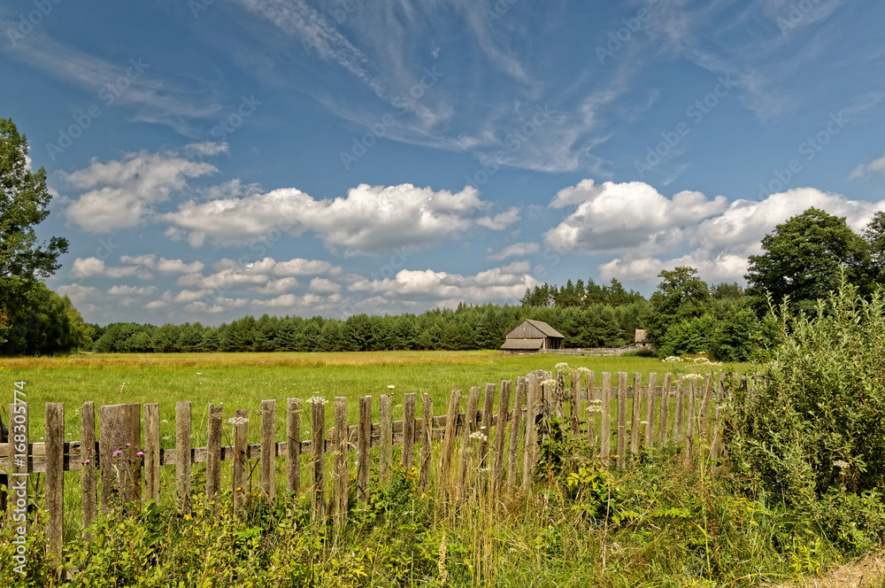 Field with wooden fence. Blue sky with delicate white clouds. Polish village view.