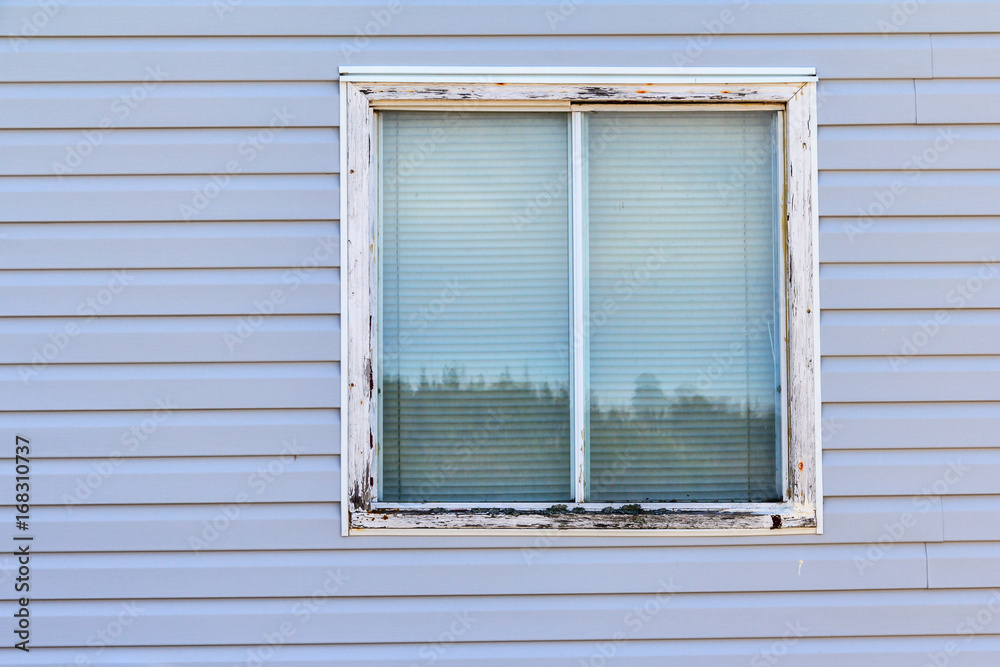 Window Window