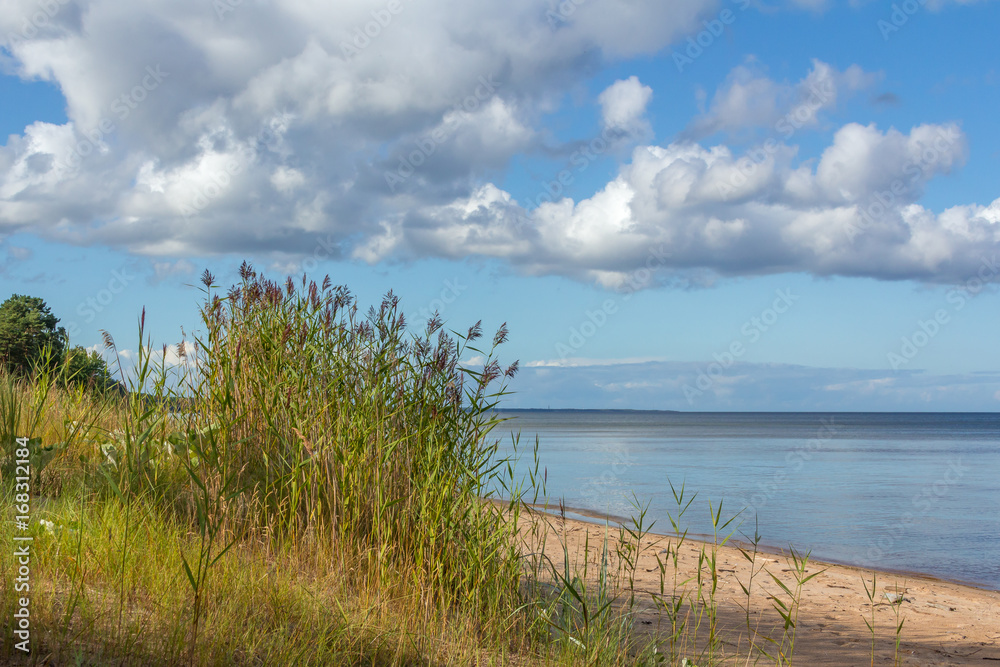 Clouds above Baltic sea shore near Kolka, Latvia