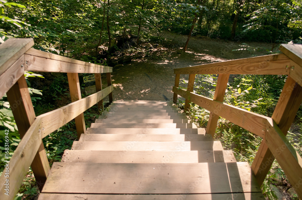 Wooden steps with partial sunlight leading into the woods Wooden steps with partial sunlight leading into the woods