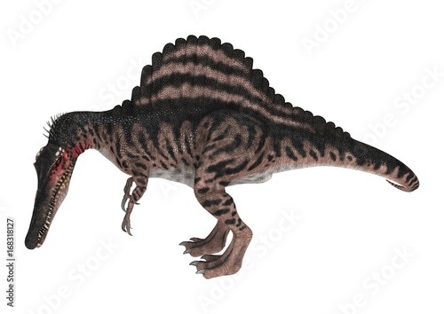 3D Rendering Dinosaur Spinosaurus on White © photosvac