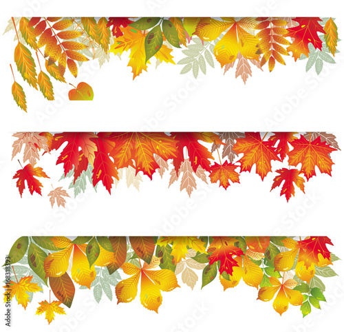 Seasonal banners of autumnal leaves
