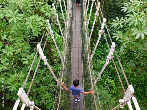 Photography Asian child crossing a rope bridge above forest