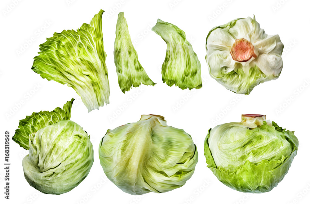 Salad. Food illustration. Salad. Food illustration.