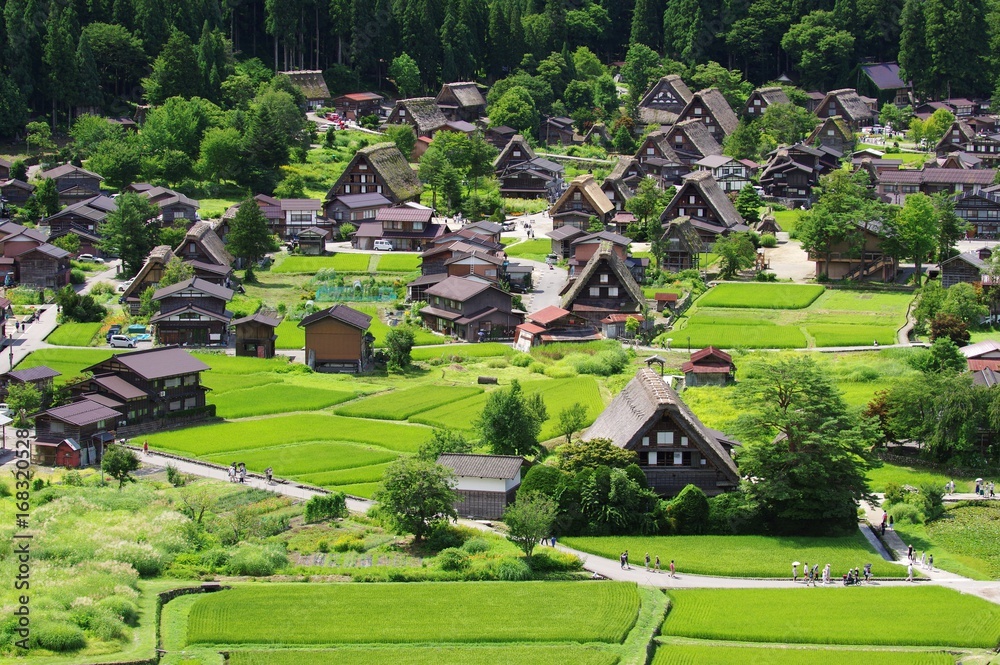 Obraz premium Shirakawago w Hida Japan, Gassho-Zukuri Village Shirakawago Hida Summer