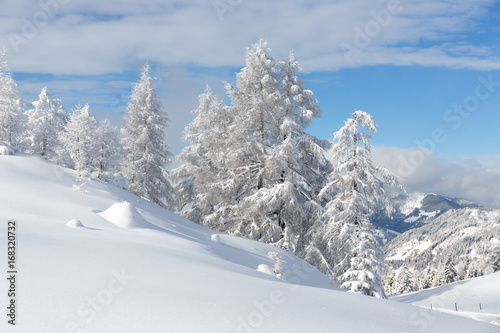 Winterwonderland in the Alps © Olha Sydorenko