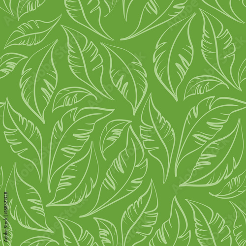 Seamless Floral Pattern  Leaves Exotic Plants  Contours on Tile Green Background. Vector