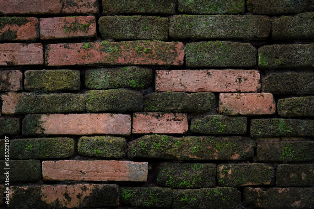 Naklejka premium Old brick wall texture background