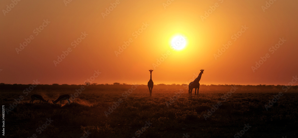 Namibia Landscape