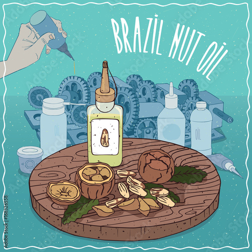 Plastic Oil Can of Brazil nut oil and fruits and seeds of Bertholletia excelsa plant. Hand lubrication mechanism. Natural vegetable oil used as grease lubricant