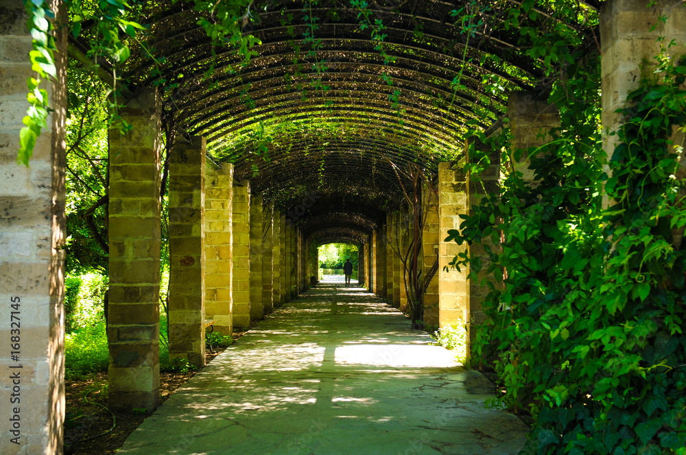 Green passage in Athens, Greece Green passage in Athens, Greece