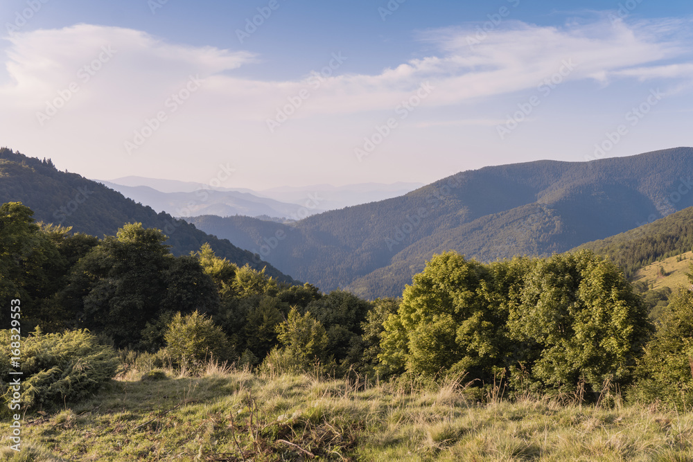 Summer Landscape of the Alps