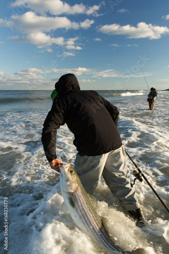 Fishing for Striped Bass
