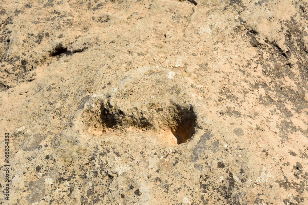 Ancient dot carvings at Jebel Jassassiyeh site in Northern Qatar. Ancient dot carvings at Jebel Jassassiyeh site in Northern Qatar.