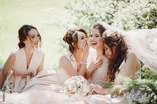 Stampa su tela Beautiful bride and bridesmaids sit on the lawn