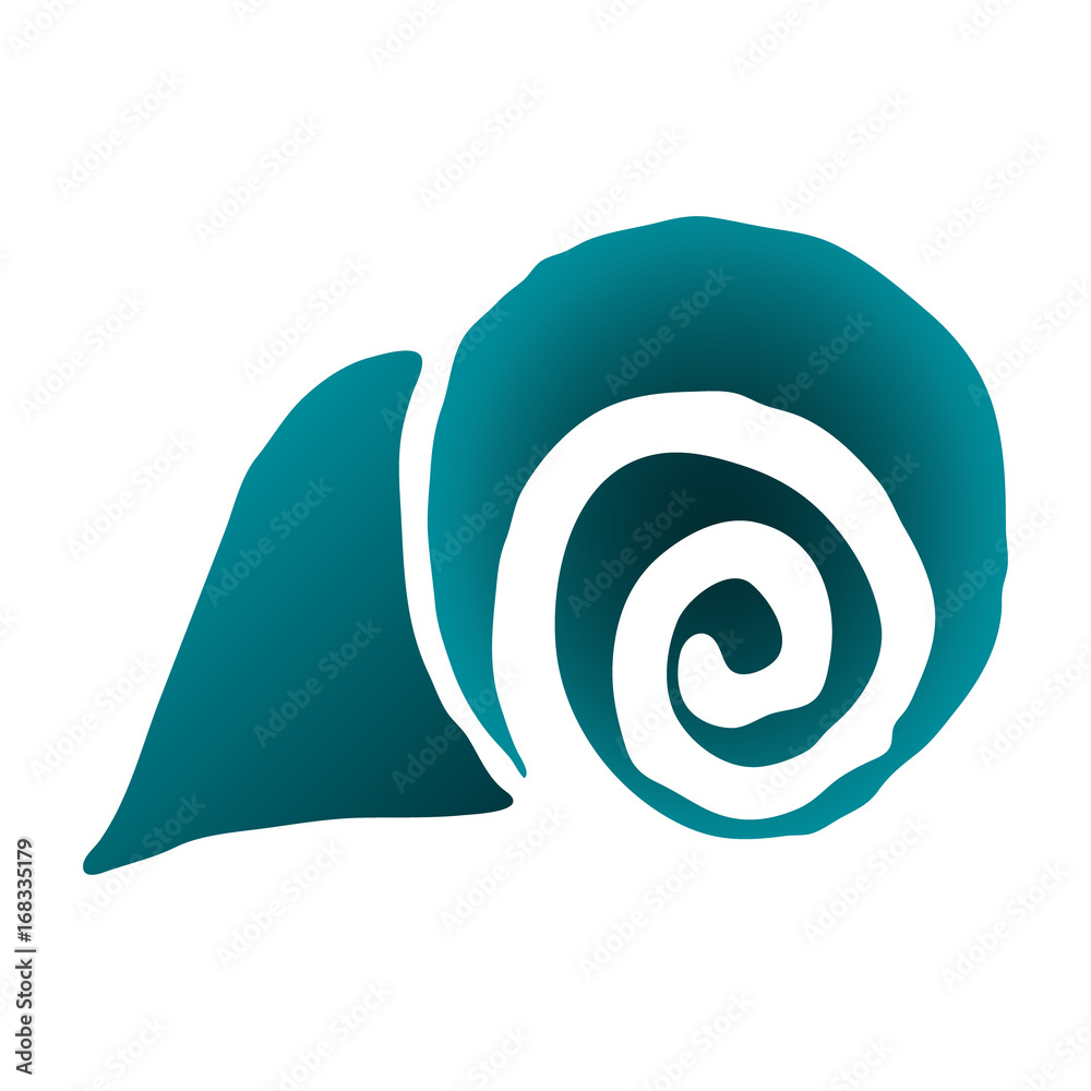 Sea shell. vector illustration. Drawing by hand. Sea shell. vector illustration. Drawing by hand.