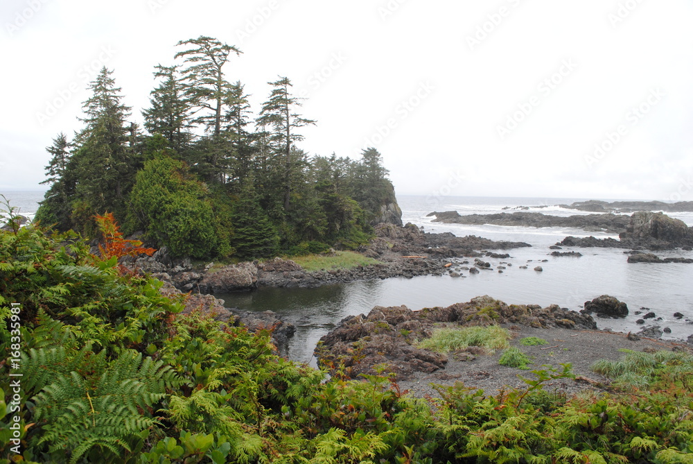 Obraz premium Küste