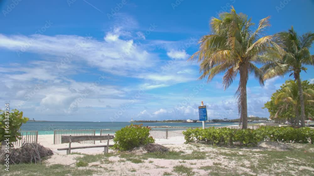 Tropical Island Scene at Saunders Beach in Nassau Bahamas with Vibrant Colors and Palm Trees on a Sunny Day in the Bahamian Capital Tropical Island Scene at Saunders Beach in Nassau Bahamas with Vibrant Colors and Palm Trees on a Sunny Day in the Bahamian Capital