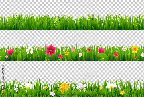 Summer Flower Border