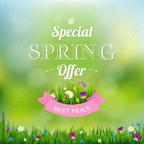 Spring Offer Banner photo